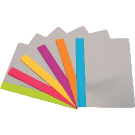 IBERPLAS Dossier Colorfun Folio Pvc Con Fastener Colores surtidos 350FC90, (12 u.)