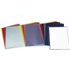 ESSELTE Dossier Caja 100 ud Folio Polipropileno Con uñero Transparente 46015, (1 u.)