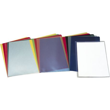 ESSELTE Dossier Caja 100 ud Folio Polipropileno Con uñero Transparente 46015, (1 u.)
