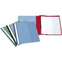 ESSELTE Dossier Caja 50 ud Folio Pvc Con Fastener Burdeos 13203, (1 u.)